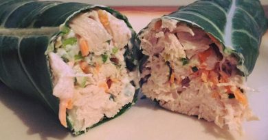 Low carb Wraps